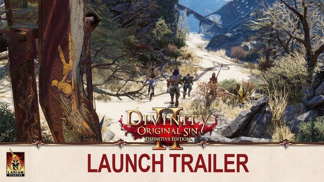 Divinity: Original Sin 2 | Launch Trailer [GOG]