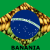 Vinicius