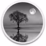 Reflect Studio Logo