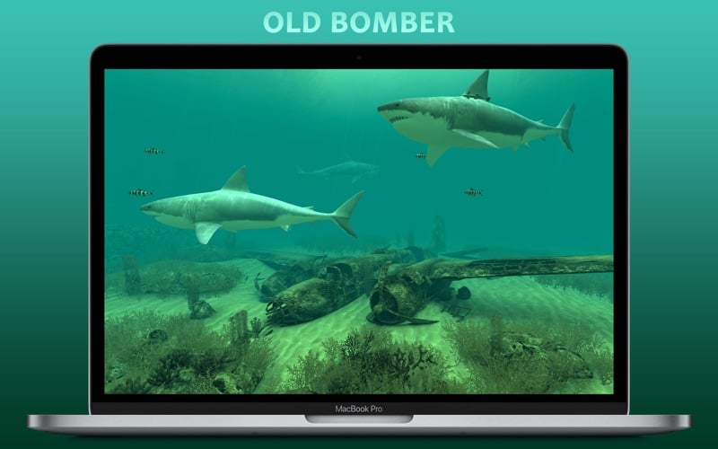 Sharks 3D Mac Download
