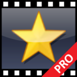 VideoPad Professional Logo